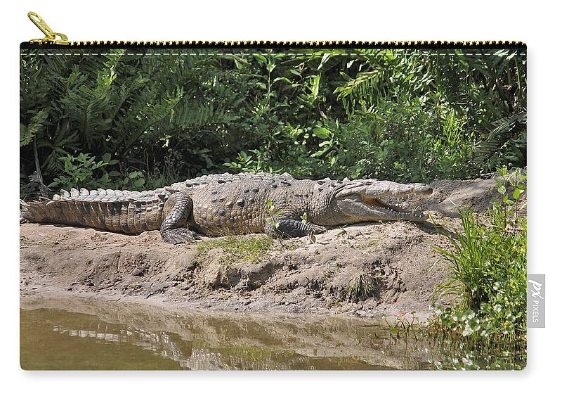 Crocodile by the Riverside - Zip Pouch