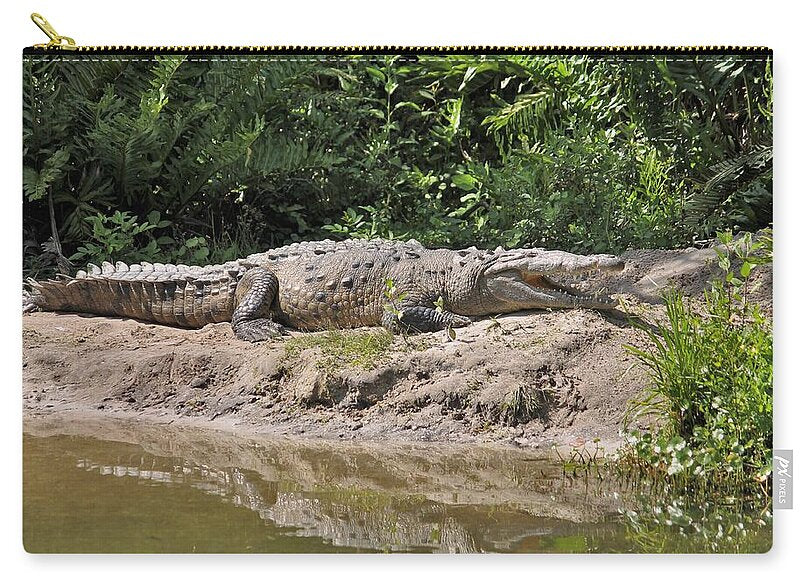 Crocodile by the Riverside - Zip Pouch