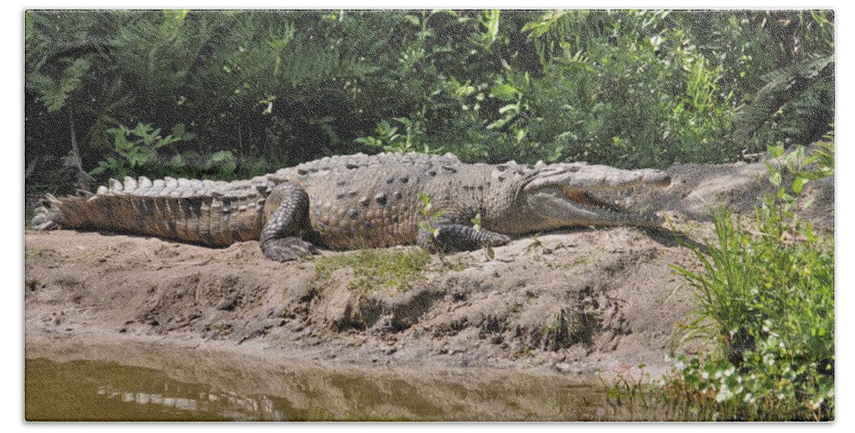 Crocodile by the Riverside - Bath Towel