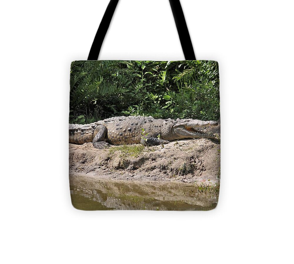 Crocodile by the Riverside - Tote Bag