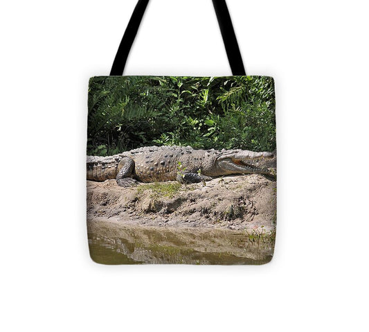 Crocodile by the Riverside - Tote Bag