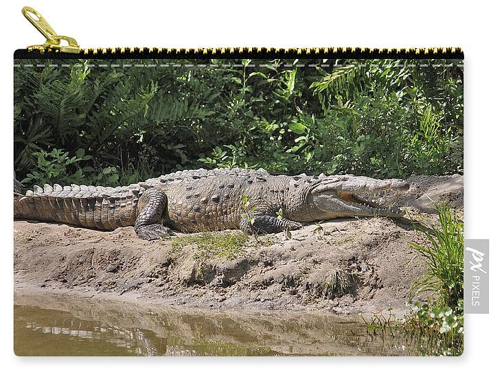 Crocodile by the Riverside - Zip Pouch
