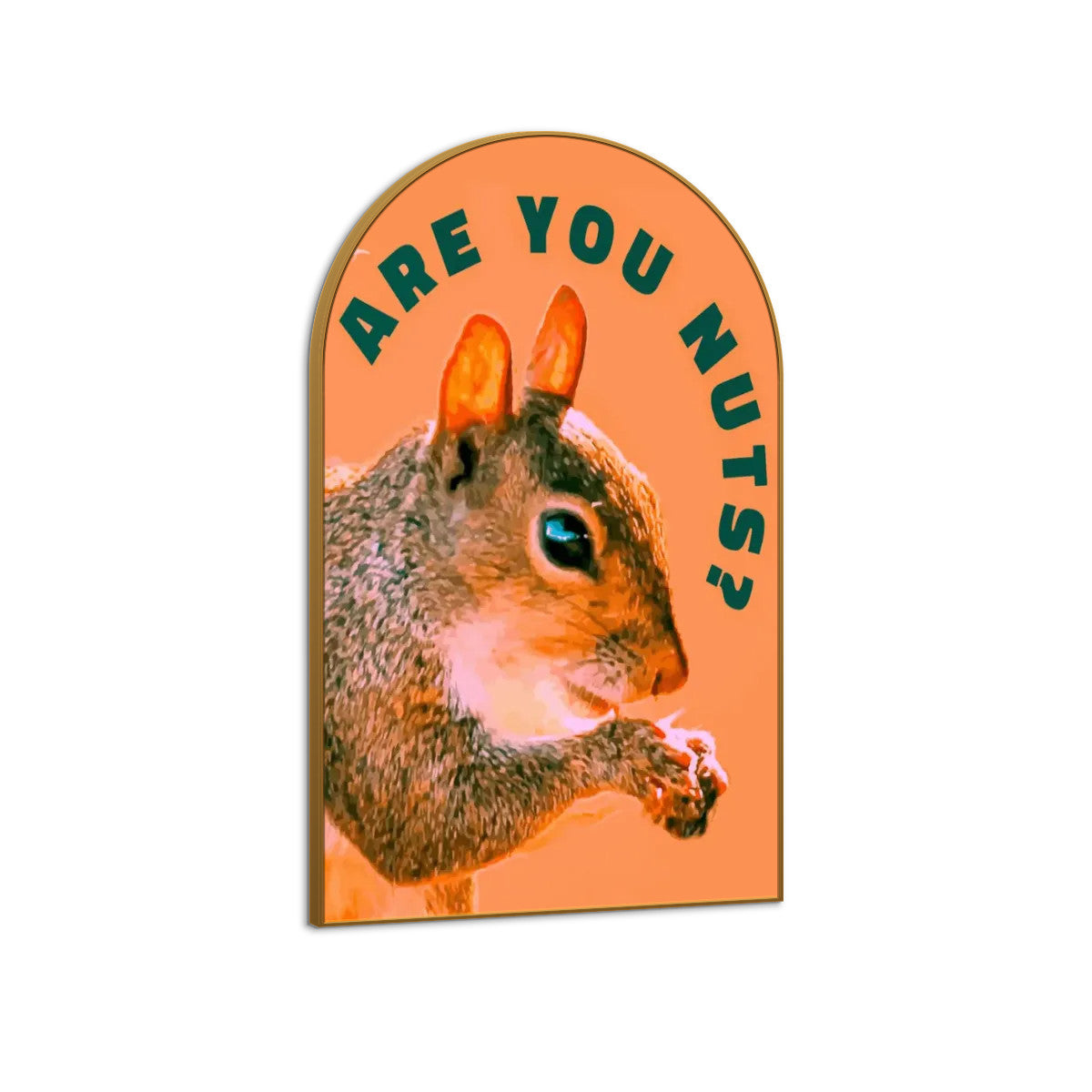 Are You Nuts? Funny Squirrel Arched Canvas Print Wall Art (Made in USA)