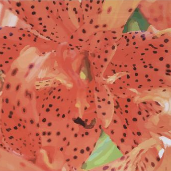 Orange Tiger Lily Floral Pashmina Scarf