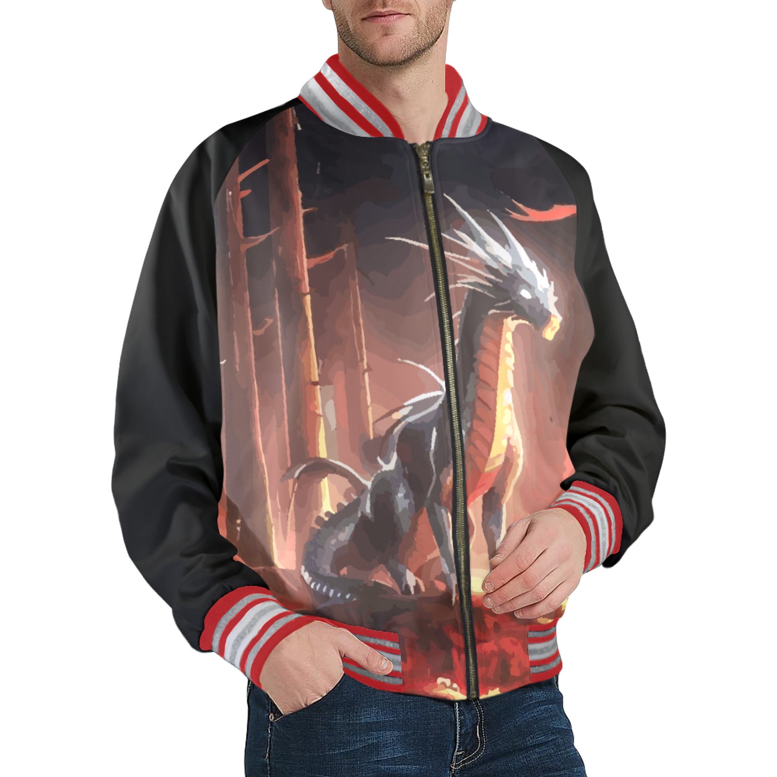 Men's Printed Design Striped Trim Bomber Jacket