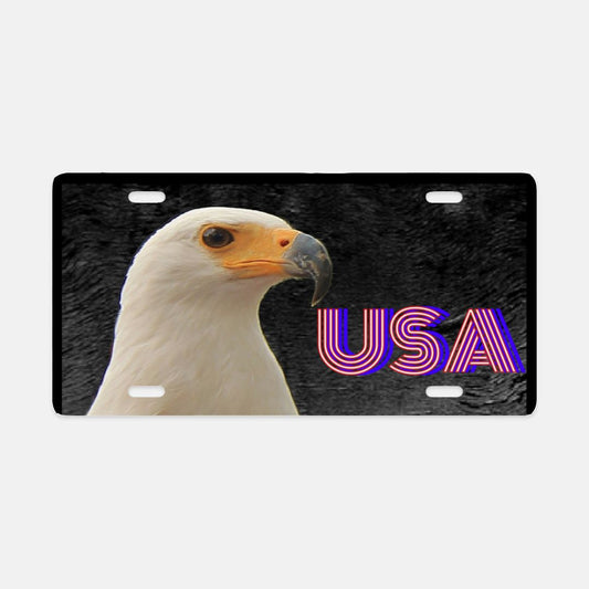 Regal Bald Eagle with USA License Plate - Shell Design Boutique