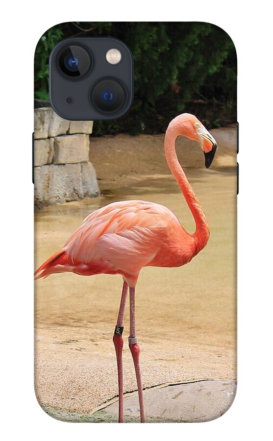 Lone Flamingo at Sea World Park in Florida - Phone Case