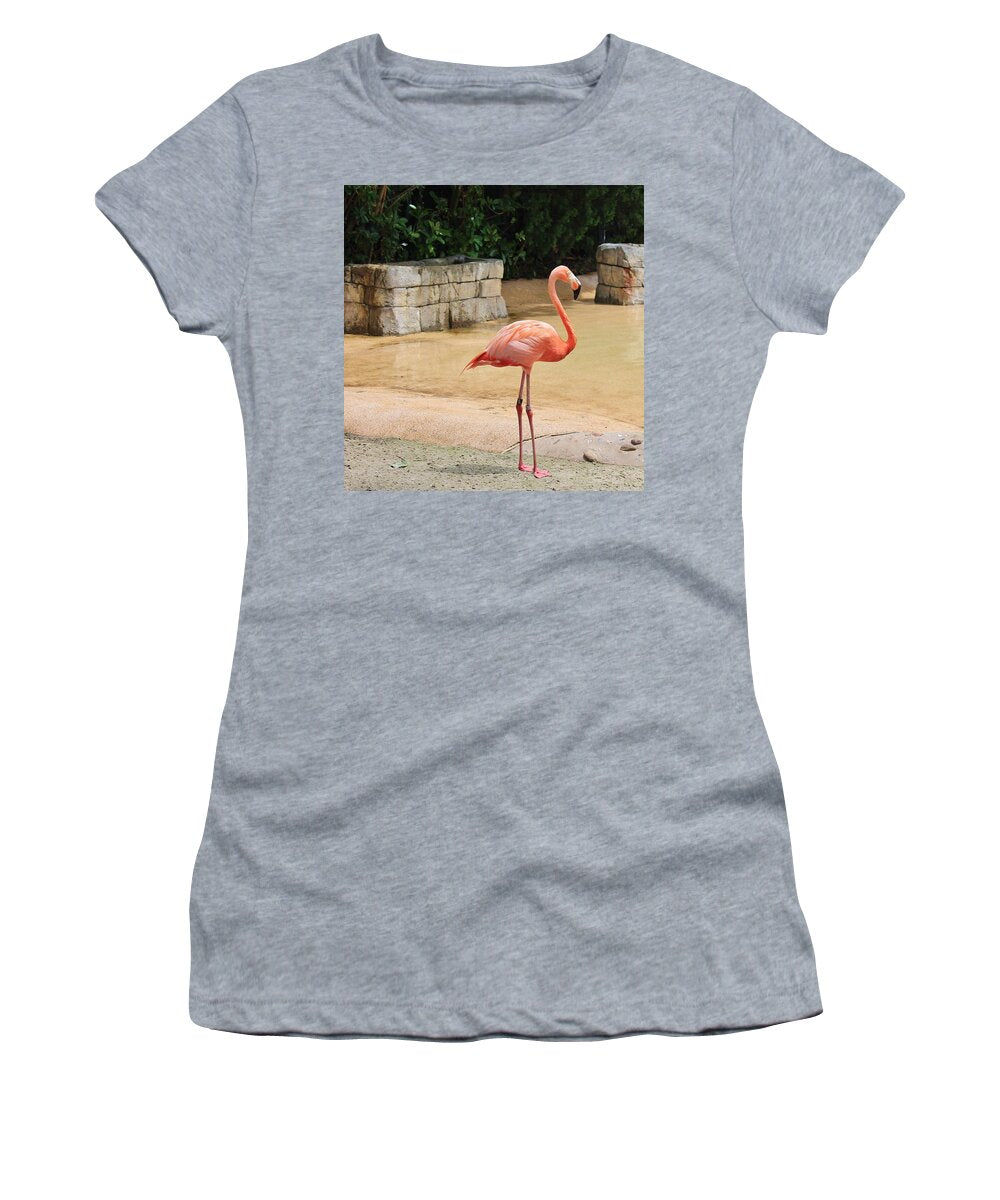 Flamingo at Sea World Park in Florida Women's T-Shirt