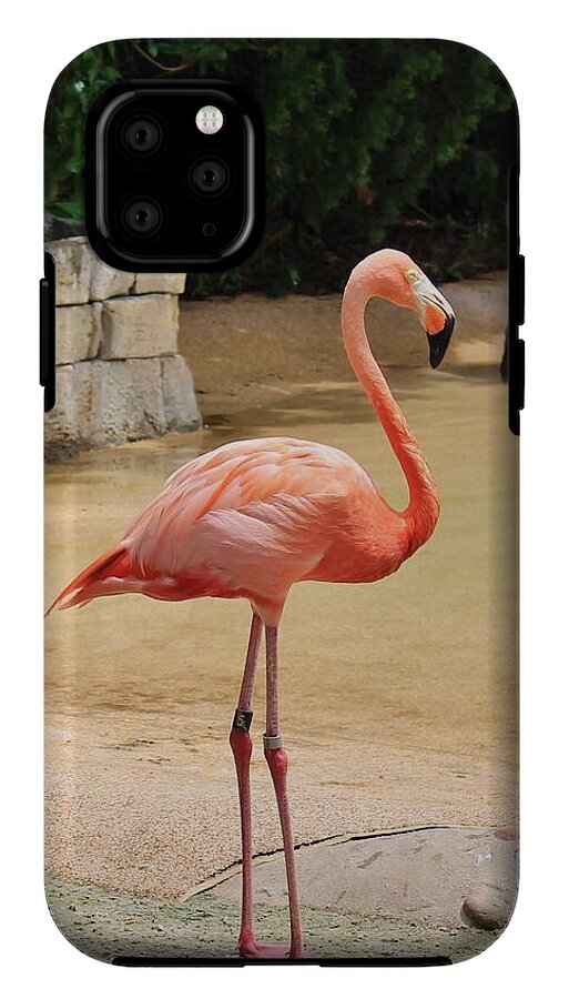 Lone Flamingo at Sea World Park in Florida - Phone Case
