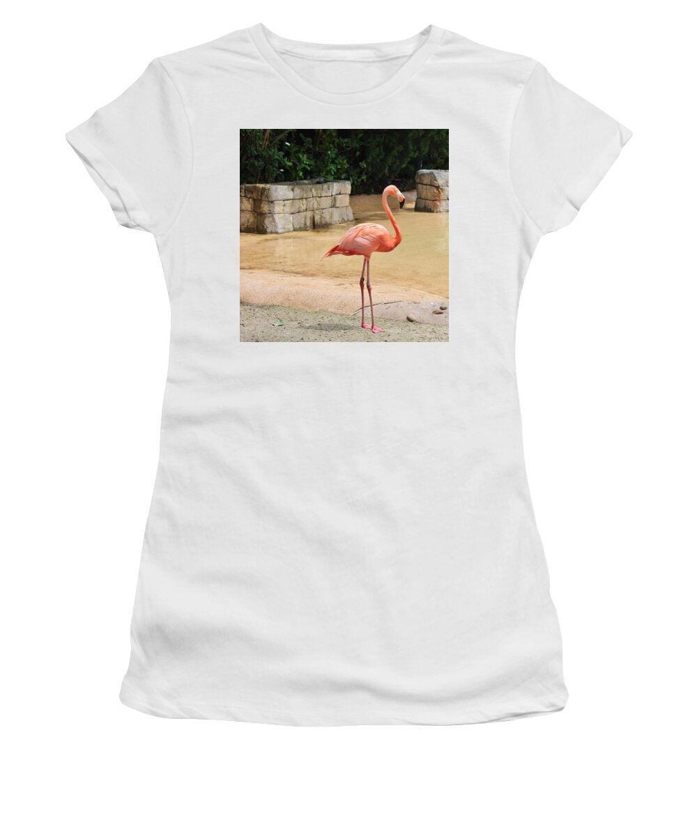 Flamingo at Sea World Park in Florida Women's T-Shirt