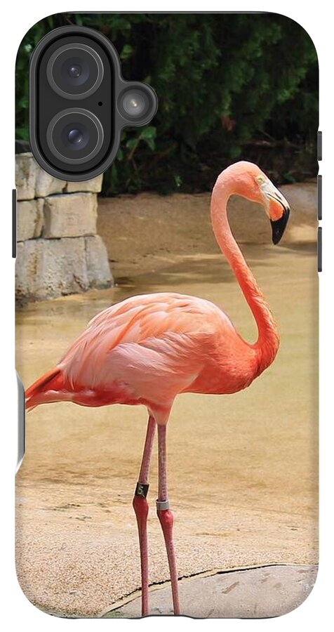Lone Flamingo at Sea World Park in Florida - Phone Case