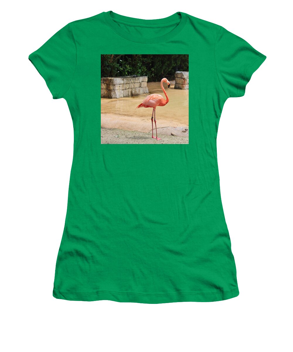 Flamingo at Sea World Park in Florida Women's T-Shirt