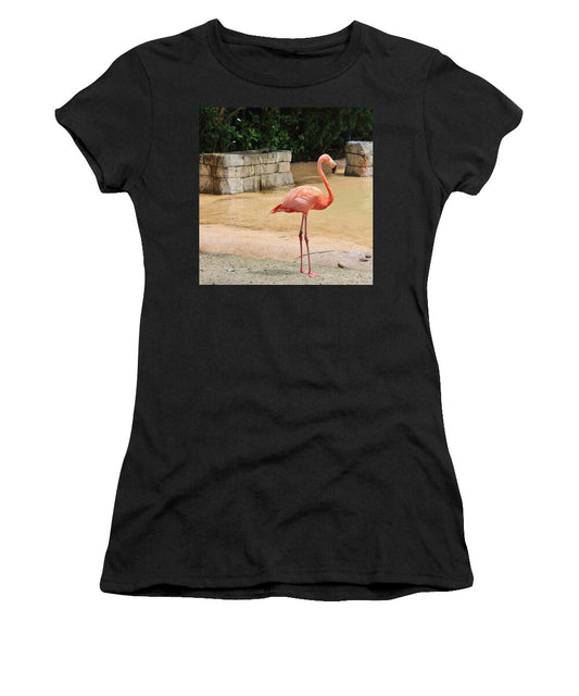 Flamingo at Sea World Park in Florida Women's T-Shirt