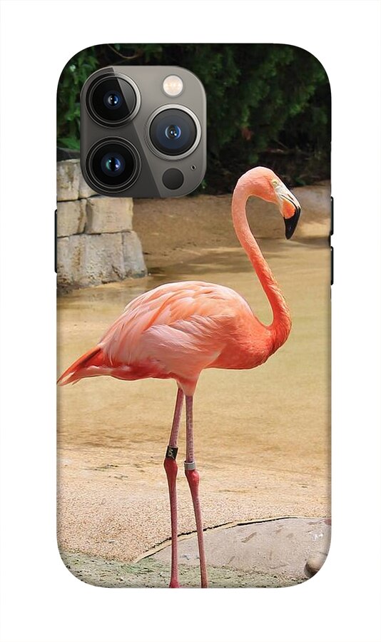 Lone Flamingo at Sea World Park in Florida - Phone Case