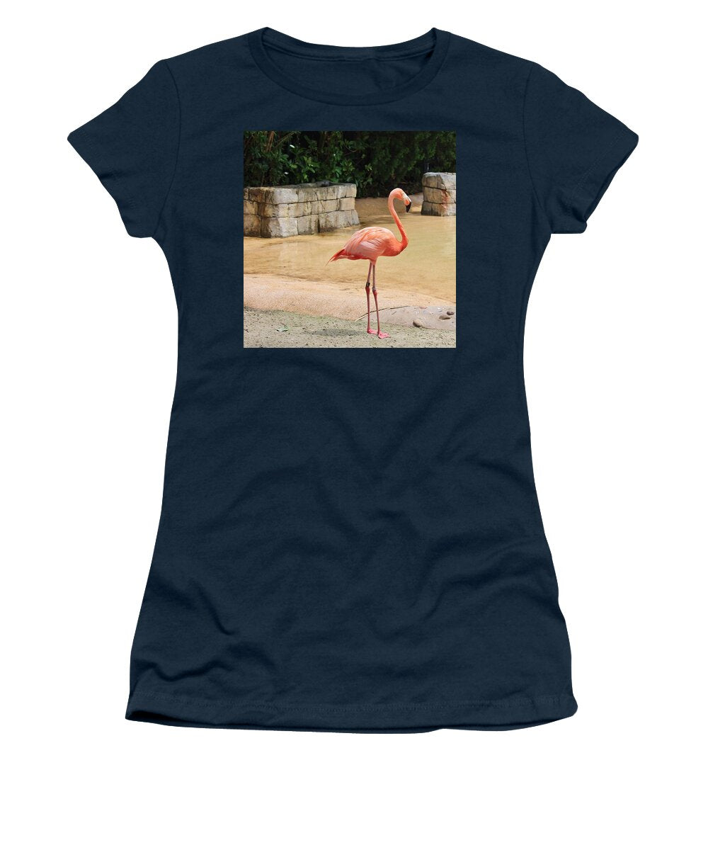 Flamingo at Sea World Park in Florida Women's T-Shirt