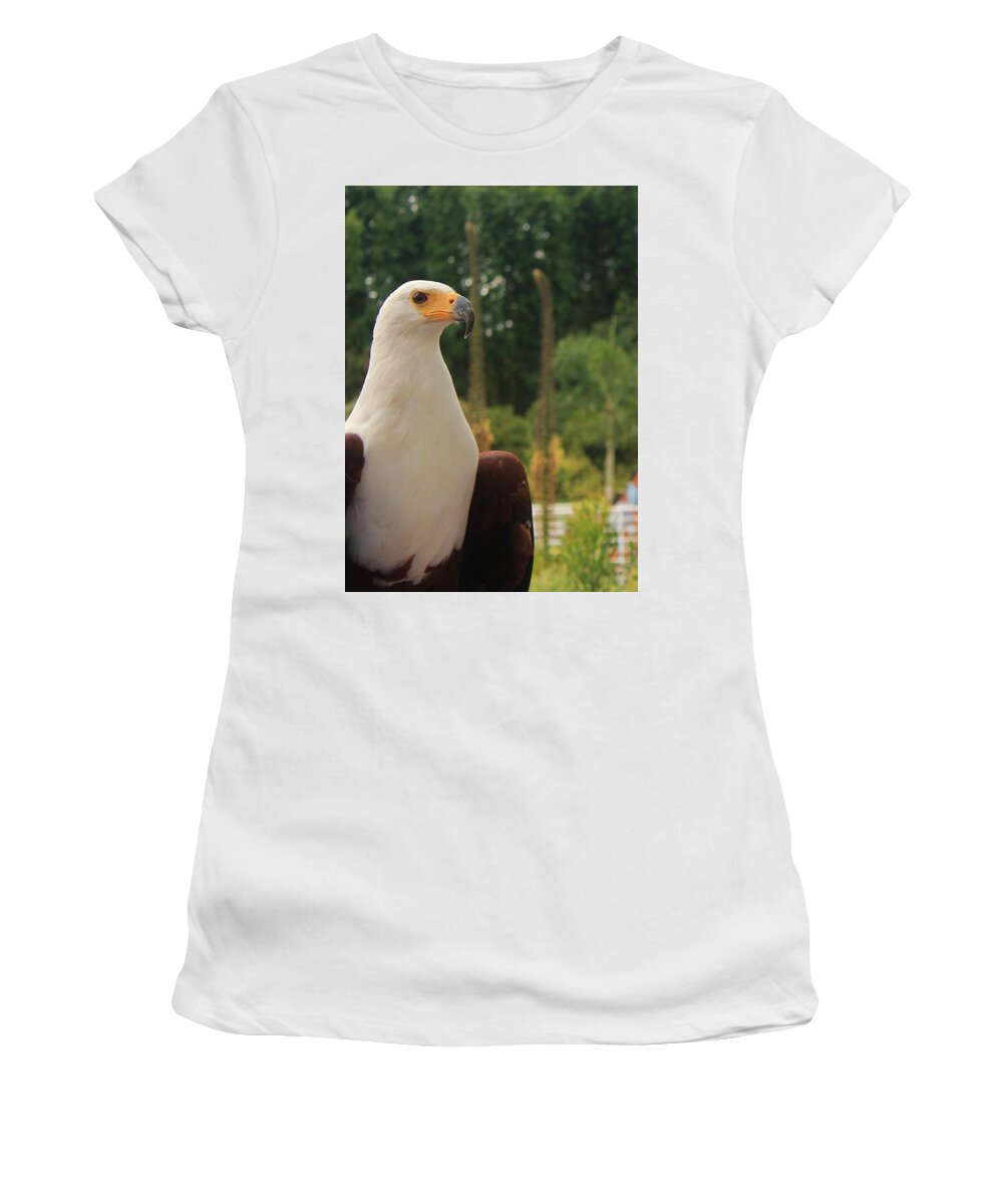 Majestic American Bald Eagle Eagle - Women's T-Shirt