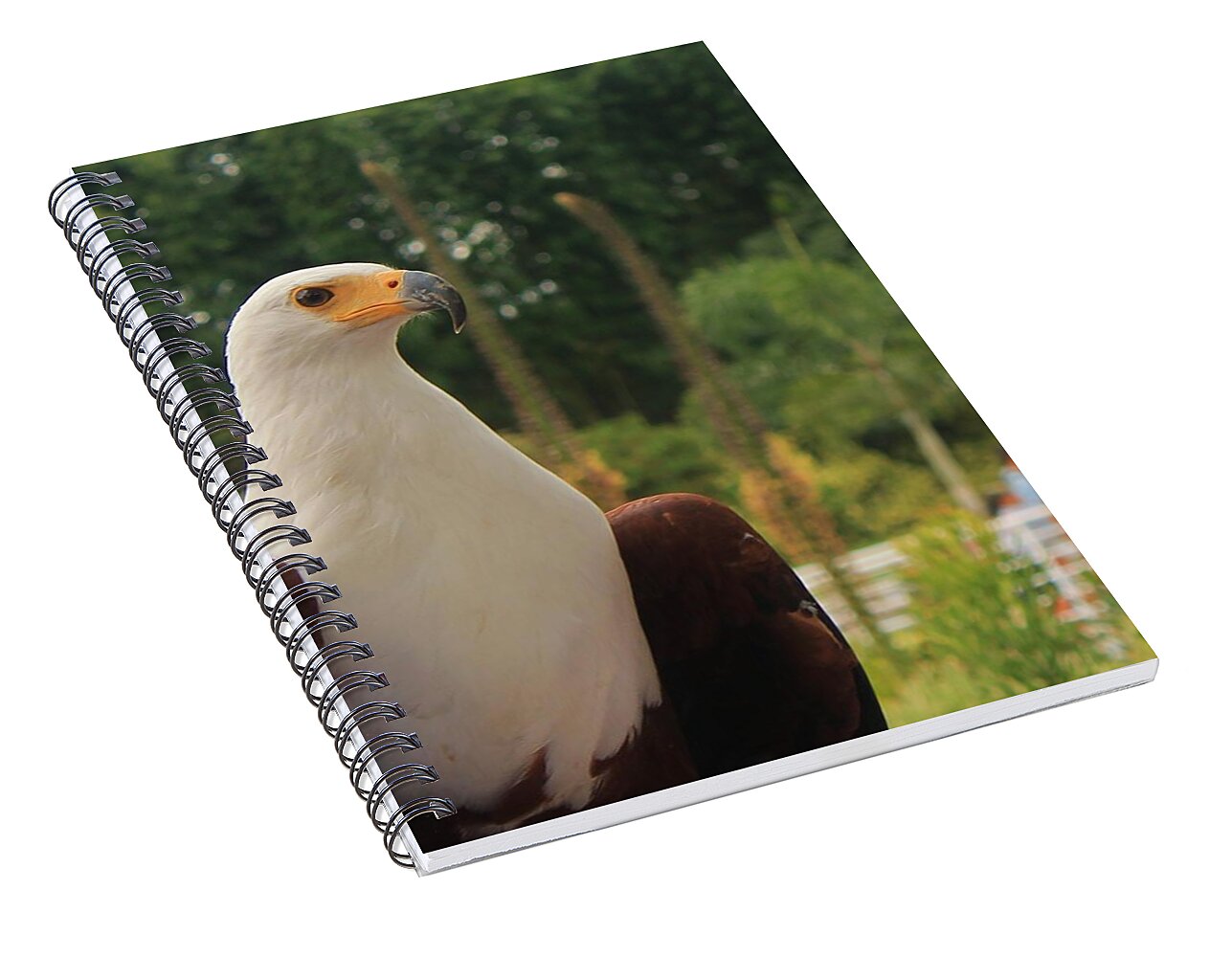 Majestic American Bald Eagle Eagle - Spiral Notebook