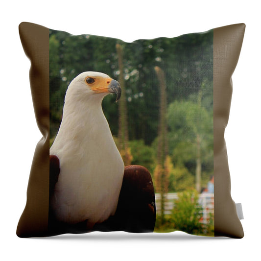 Majestic American Bald Eagle Eagle - Throw Pillow