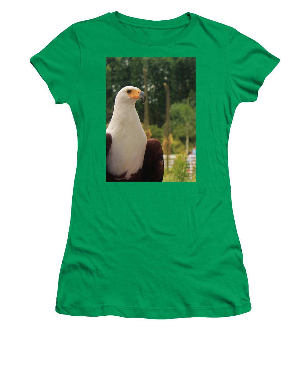 Majestic American Bald Eagle Eagle - Women's T-Shirt