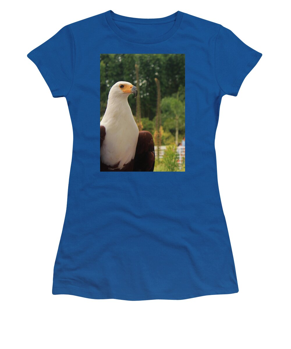 Majestic American Bald Eagle Eagle - Women's T-Shirt
