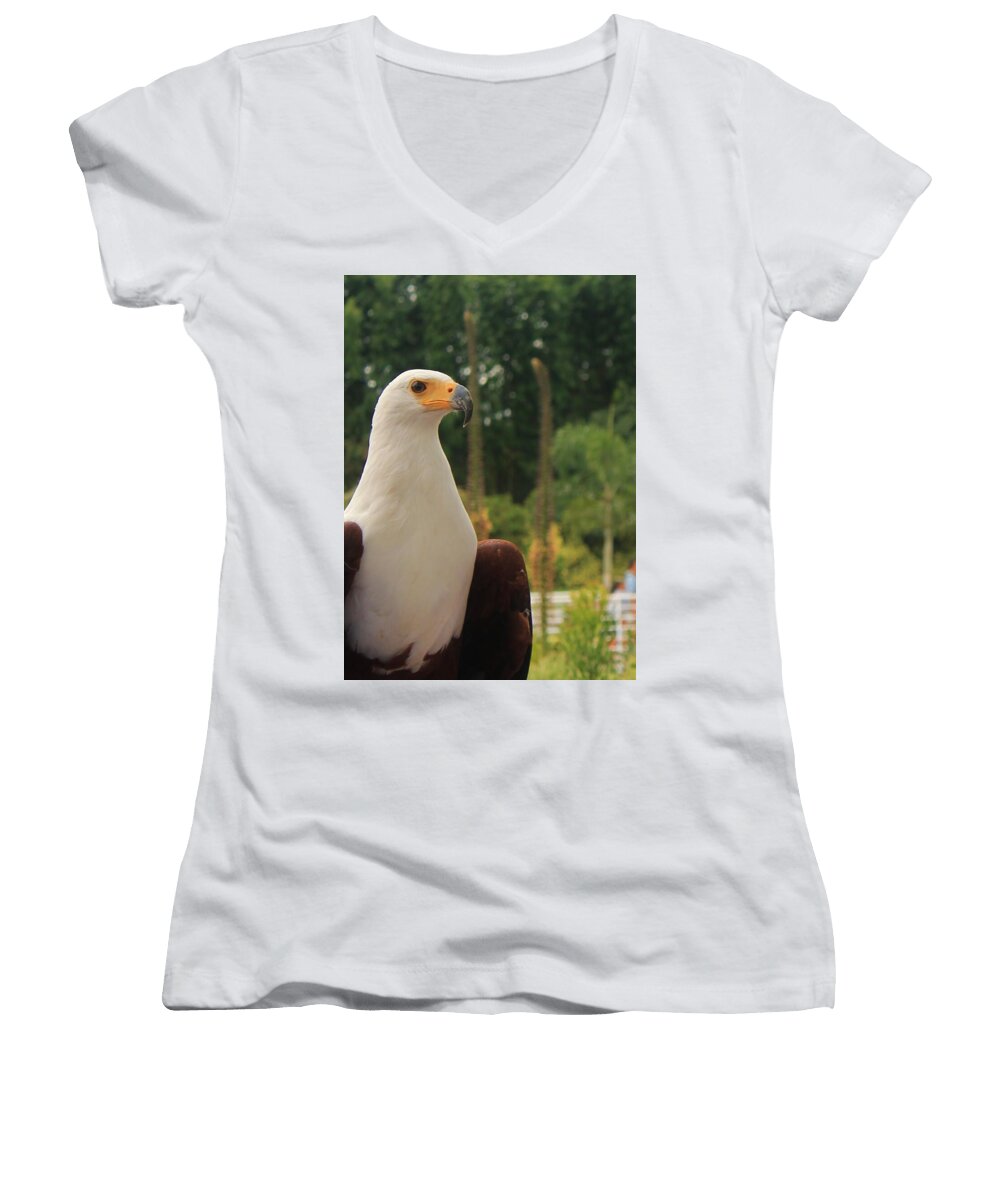 Majestic American Bald Eagle Eagle - Women's V-Neck