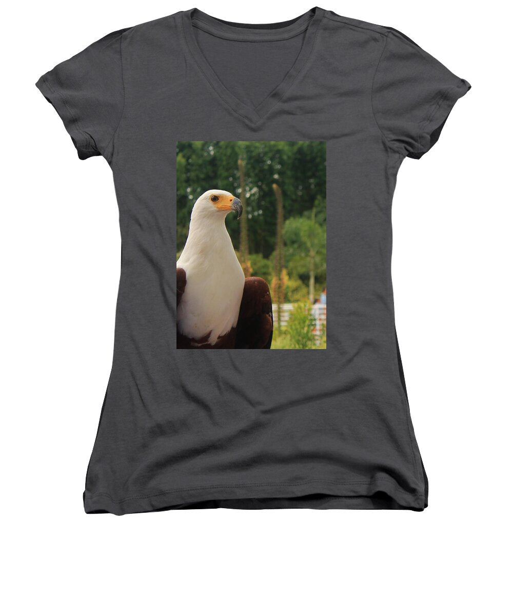 Majestic American Bald Eagle Eagle - Women's V-Neck