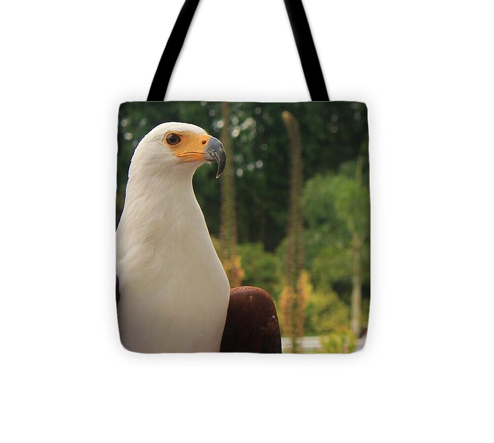 Majestic American Bald Eagle Eagle - Tote Bag