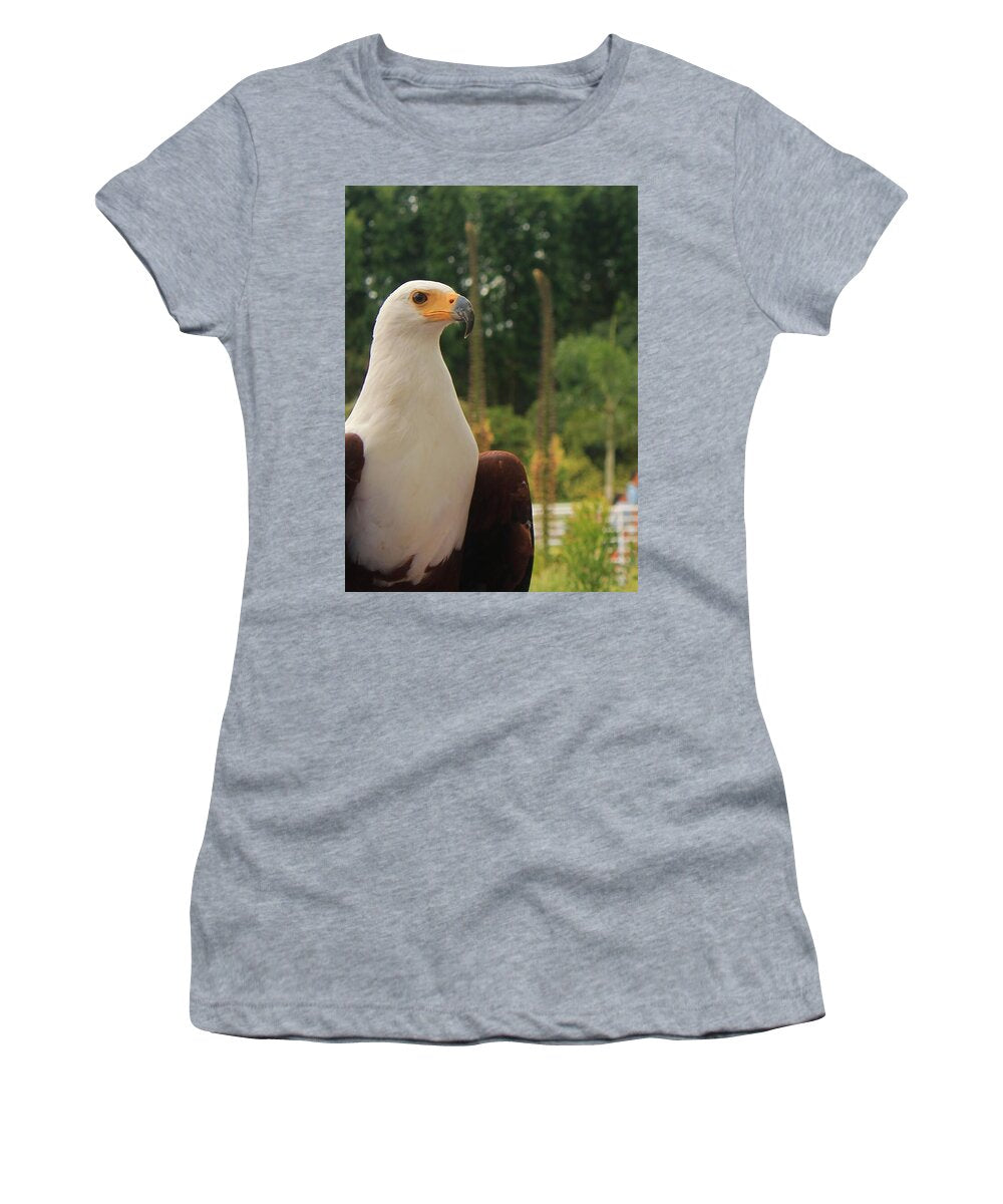 Majestic American Bald Eagle Eagle - Women's T-Shirt