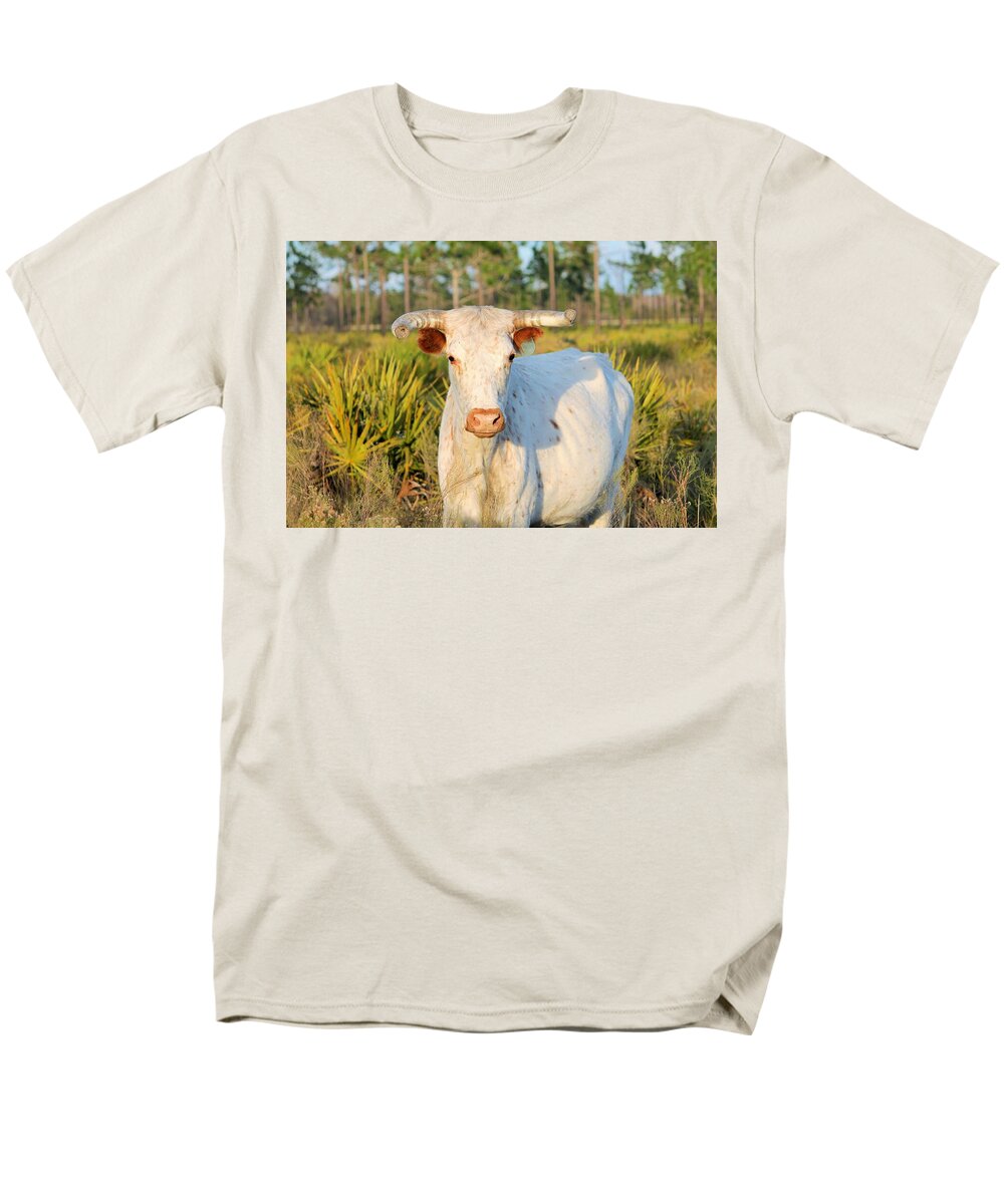 Majestic Horned White Bull near Orlando Florida Regular Fit Men's T-Shirt