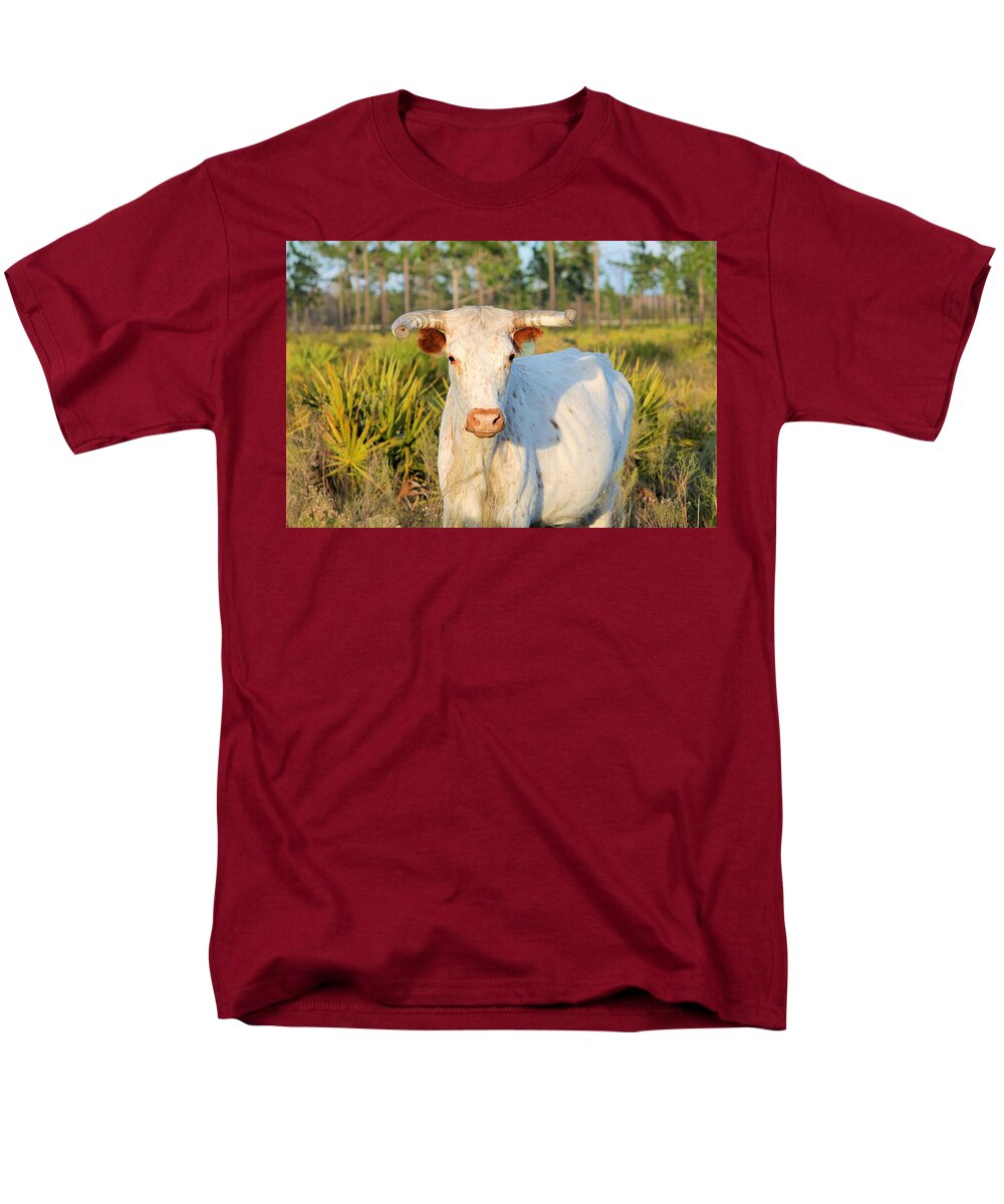 Majestic Horned White Bull near Orlando Florida Regular Fit Men's T-Shirt