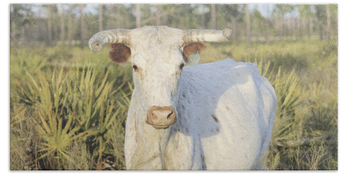 Majestic Horned Bull near Orlando Florida - Bath Towel