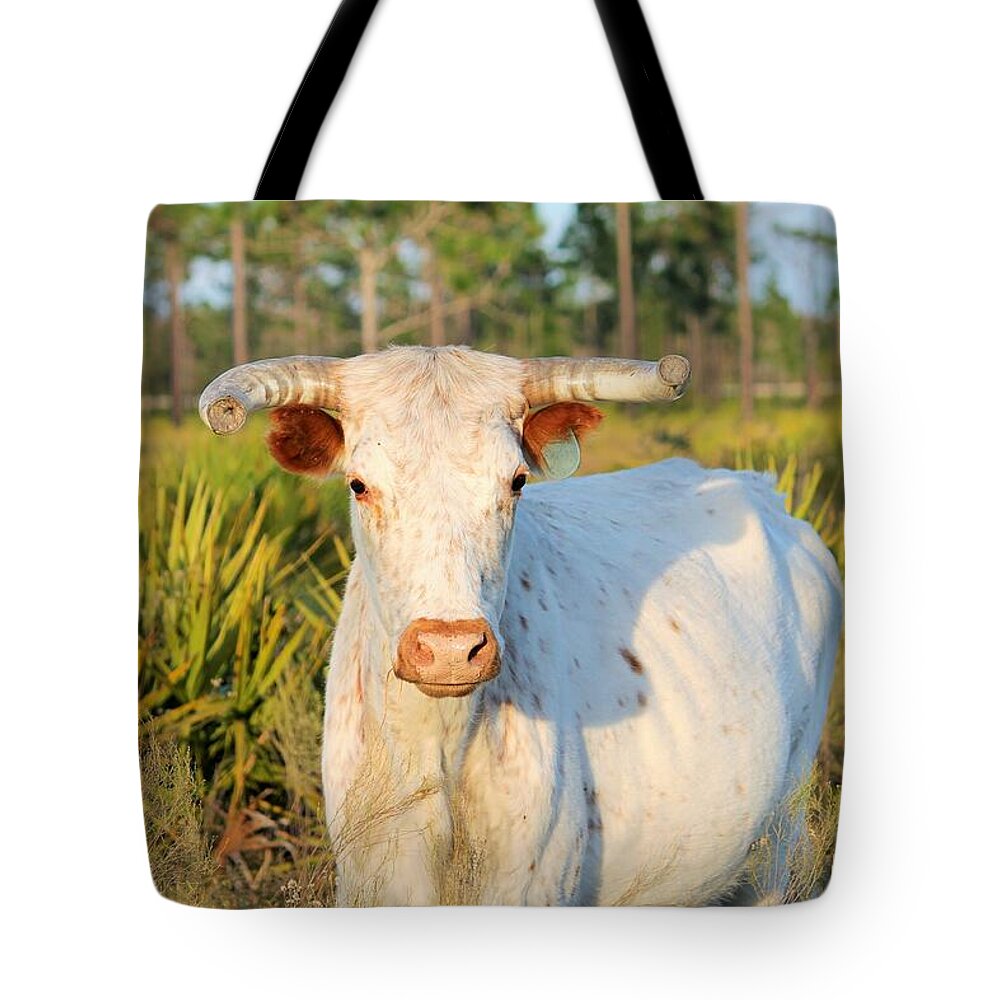 Majestic Horned Bull near Orlando Florida - Tote Bag