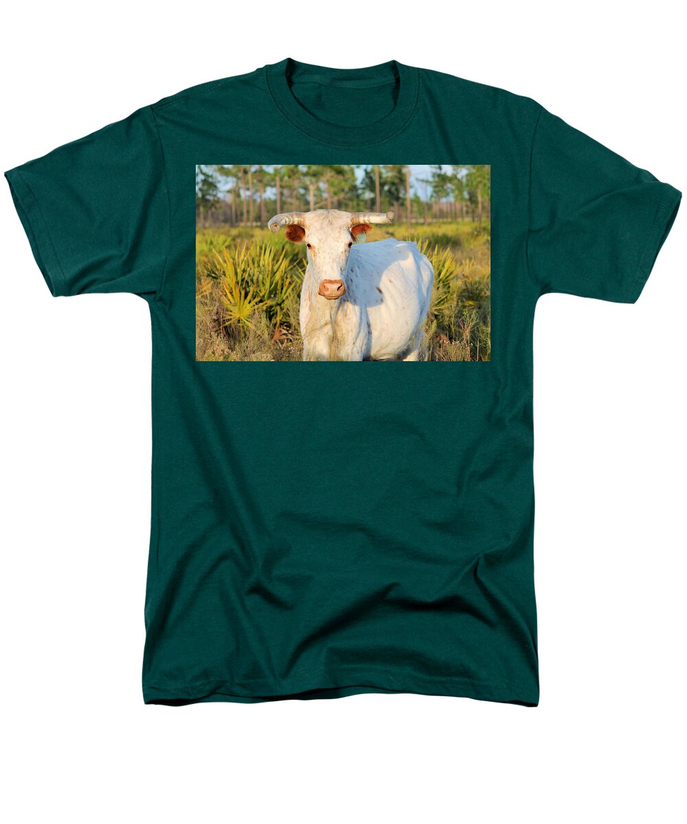 Majestic Horned White Bull near Orlando Florida Regular Fit Men's T-Shirt