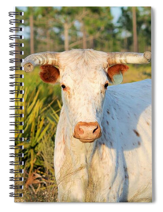 Majestic Horned Bull near Orlando Florida Spiral Notebook
