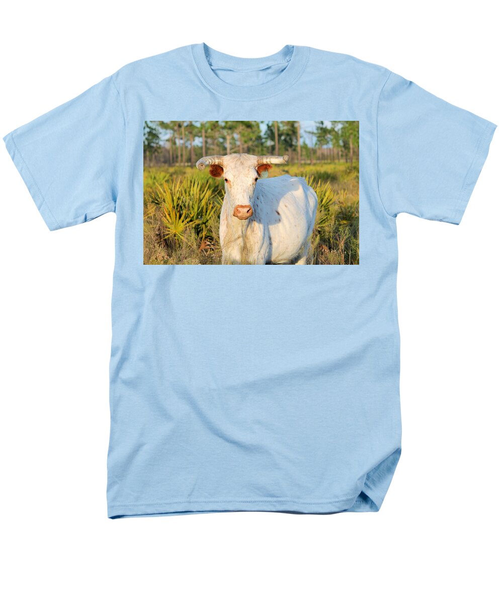 Majestic Horned White Bull near Orlando Florida Regular Fit Men's T-Shirt