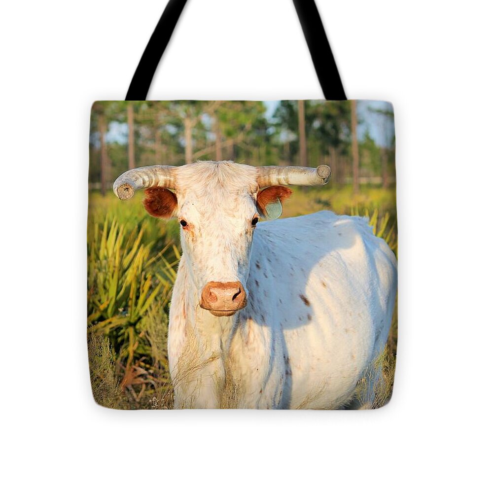 Majestic Horned Bull near Orlando Florida - Tote Bag