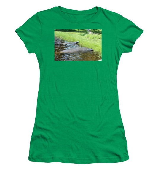 Manatees Resting by Shore of Indian River Lagoon, Florida - Women's T-Shirt