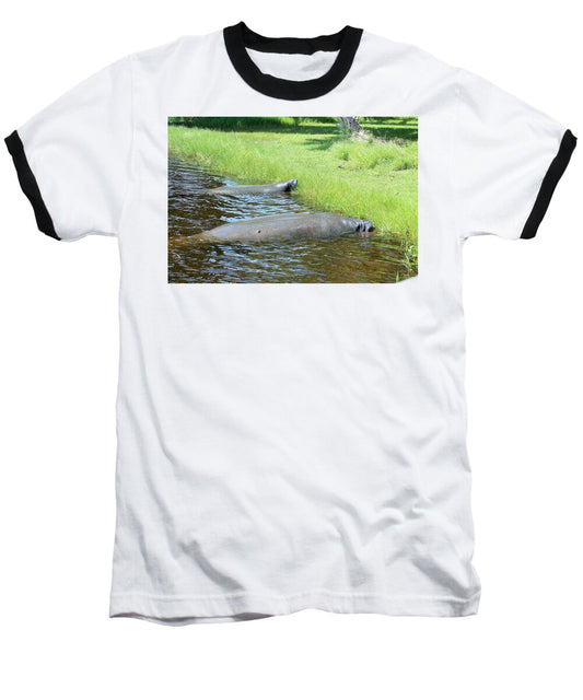 Manatees Resting by Shore of Indian River Lagoon, Florida - Baseball T-Shirt