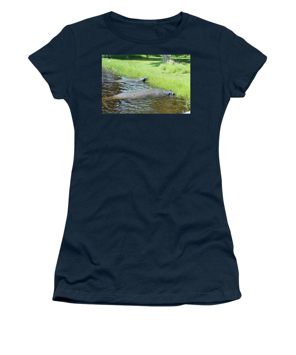 Manatees Resting by Shore of Indian River Lagoon, Florida - Women's T-Shirt
