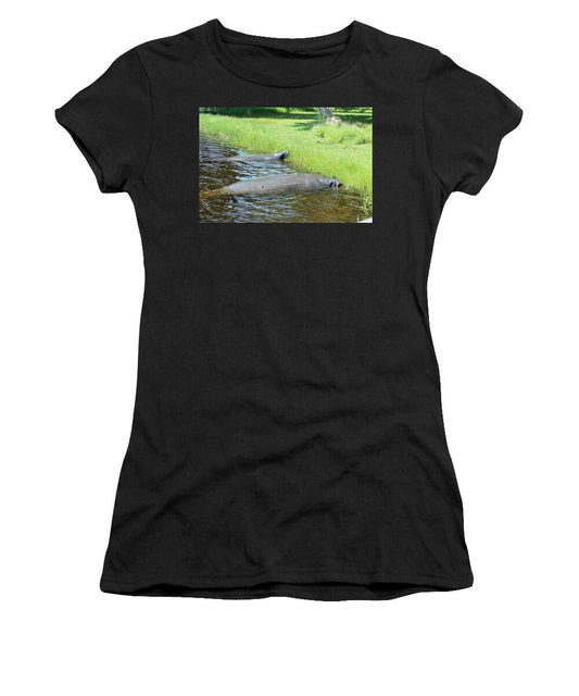 Manatees Resting by Shore of Indian River Lagoon, Florida - Women's T-Shirt