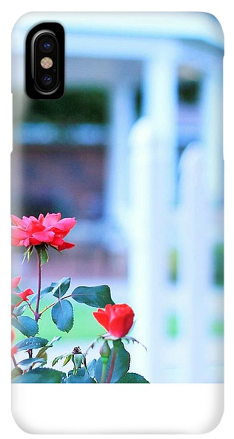 Red Flowers in Bloom - Phone Case