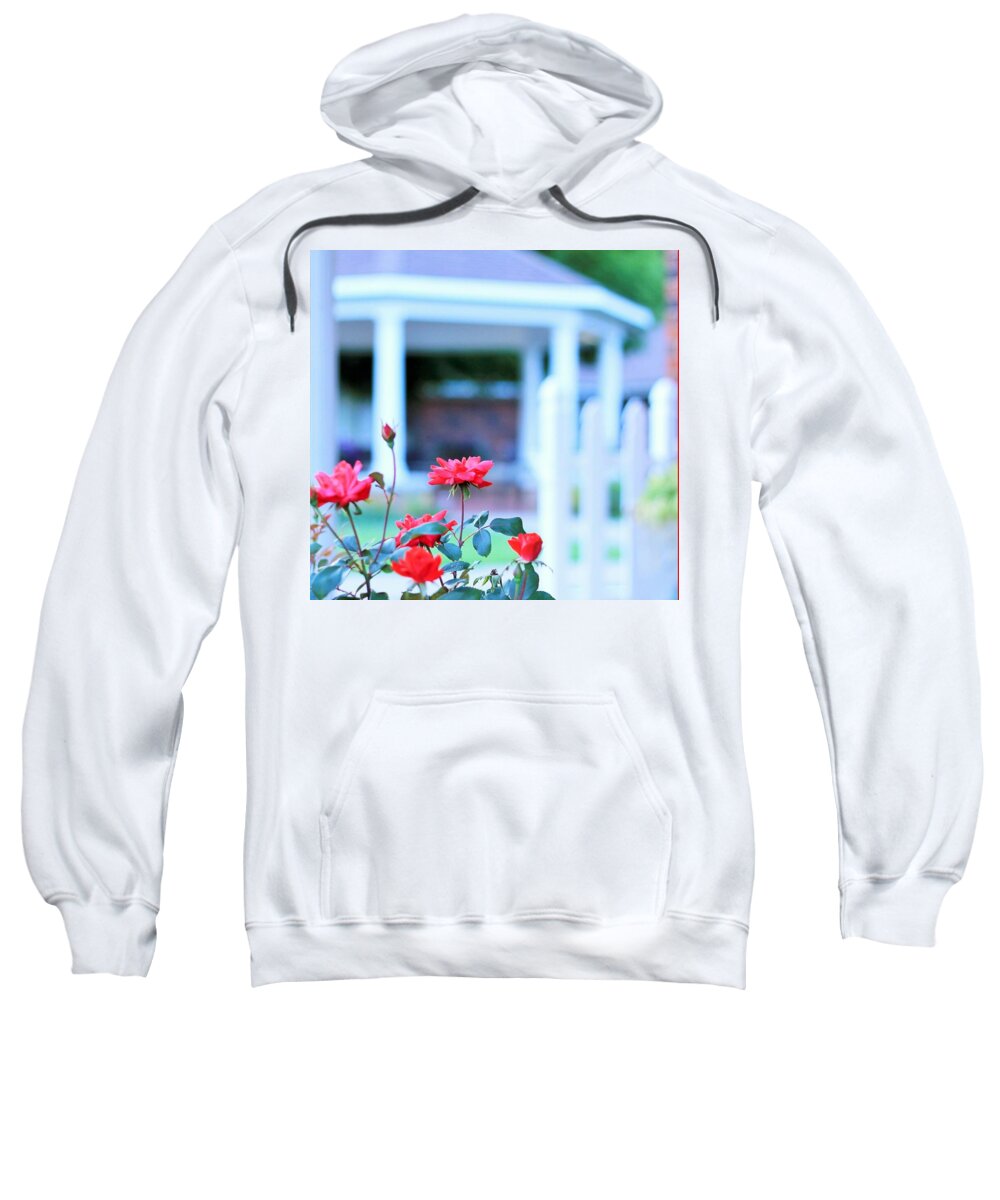 Red Flowers in Bloom Sweatshirt Hoodie