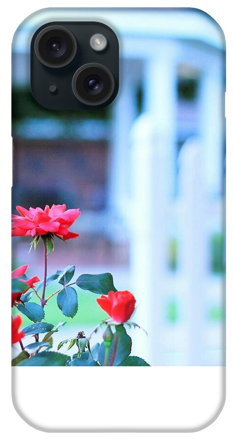 Red Flowers in Bloom - Phone Case