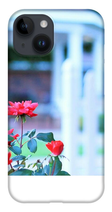 Red Flowers in Bloom - Phone Case