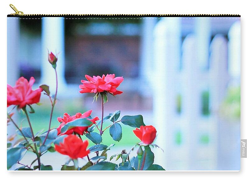 Red Flowers in Bloom - Zip Pouch