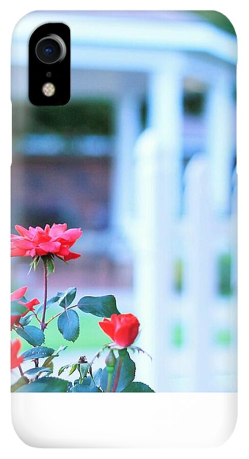 Red Flowers in Bloom - Phone Case