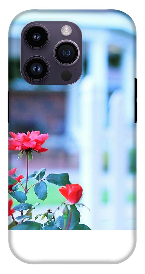 Red Flowers in Bloom - Phone Case