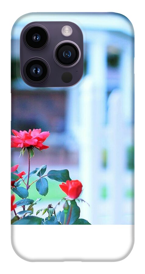 Red Flowers in Bloom - Phone Case