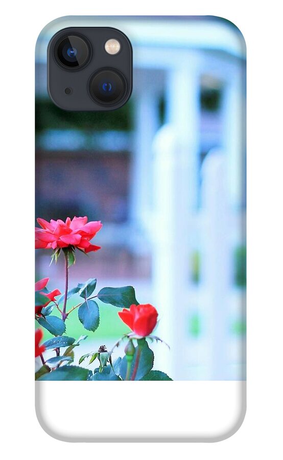Red Flowers in Bloom - Phone Case