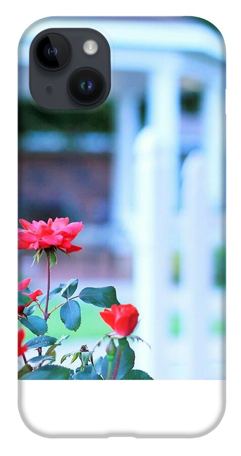 Red Flowers in Bloom - Phone Case